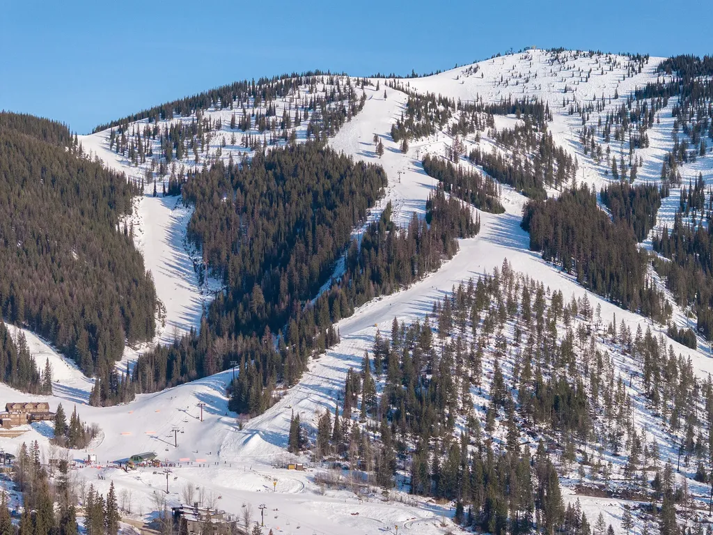 311 Wood Run Drive Whitefish MT 59937
