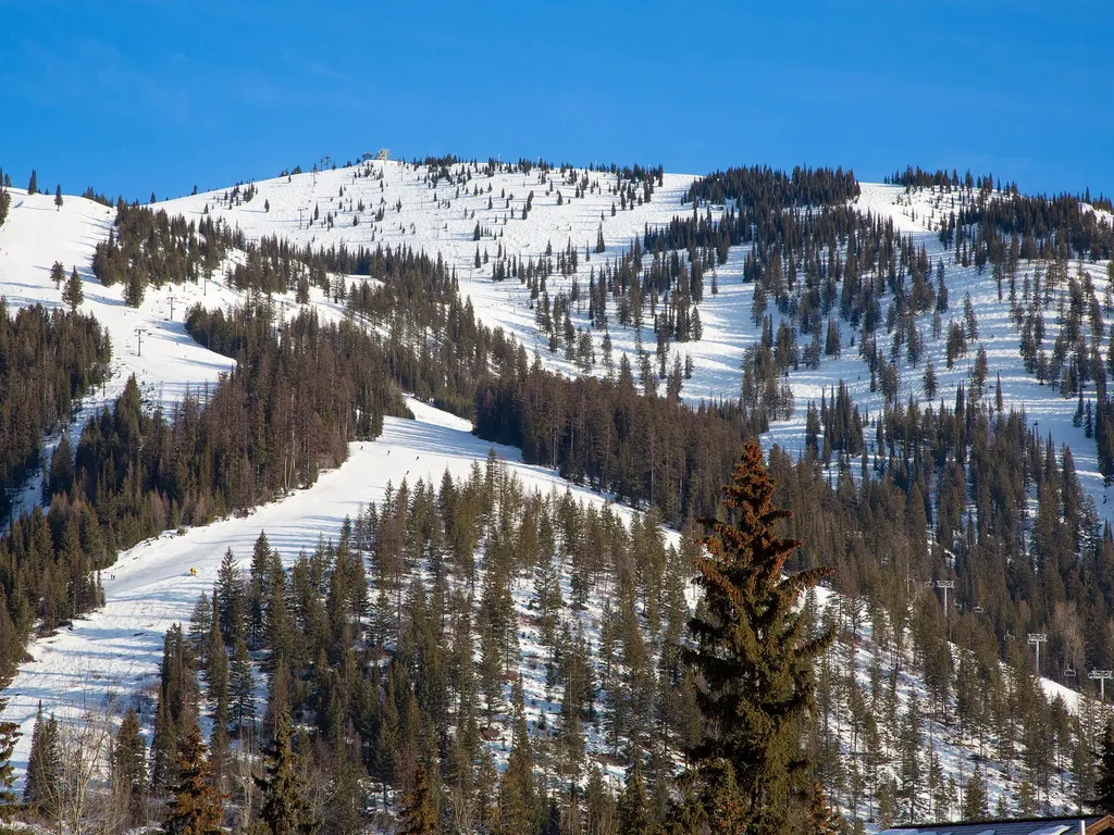 311 Wood Run Drive Whitefish MT 59937