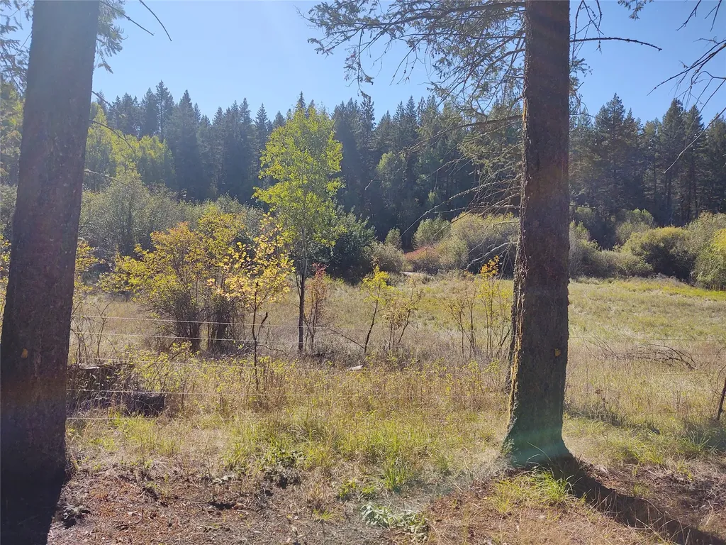 32857 Two Creek Lane Charlo MT 59824