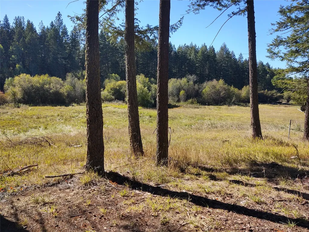 32857 Two Creek Lane Charlo MT 59824