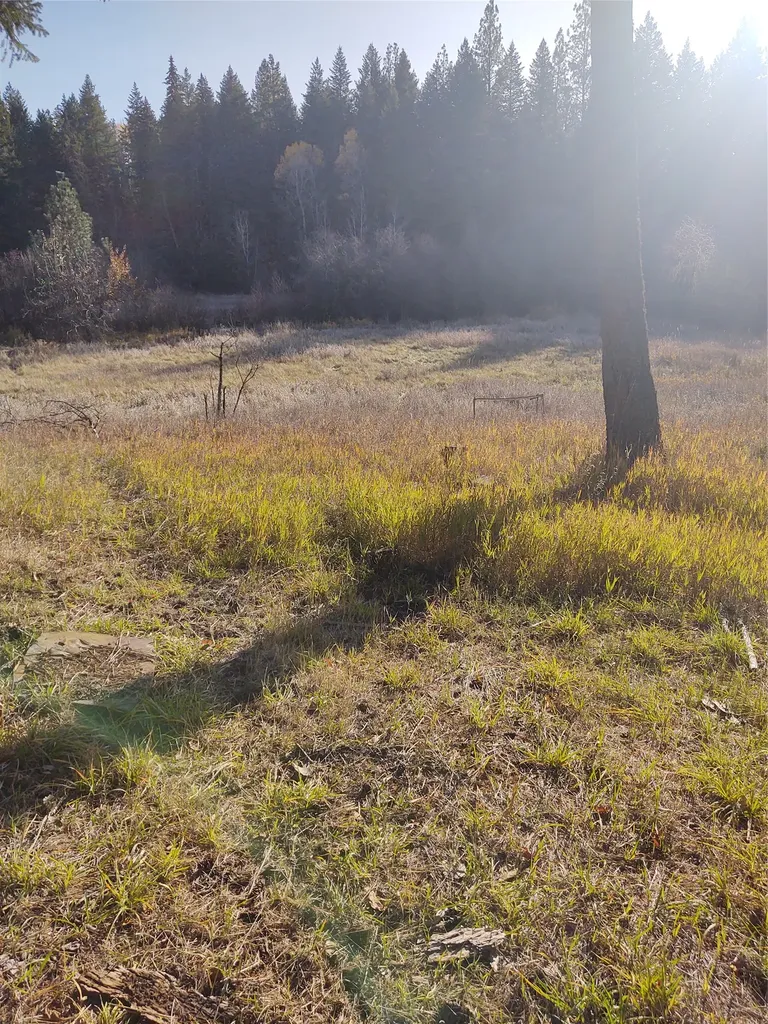 32857 Two Creek Lane Charlo MT 59824
