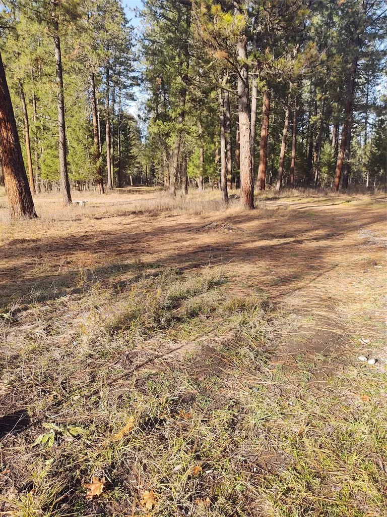 32857 Two Creek Lane Charlo MT 59824