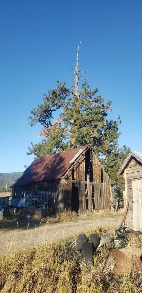 21225 Mullan Road Frenchtown MT 59834
