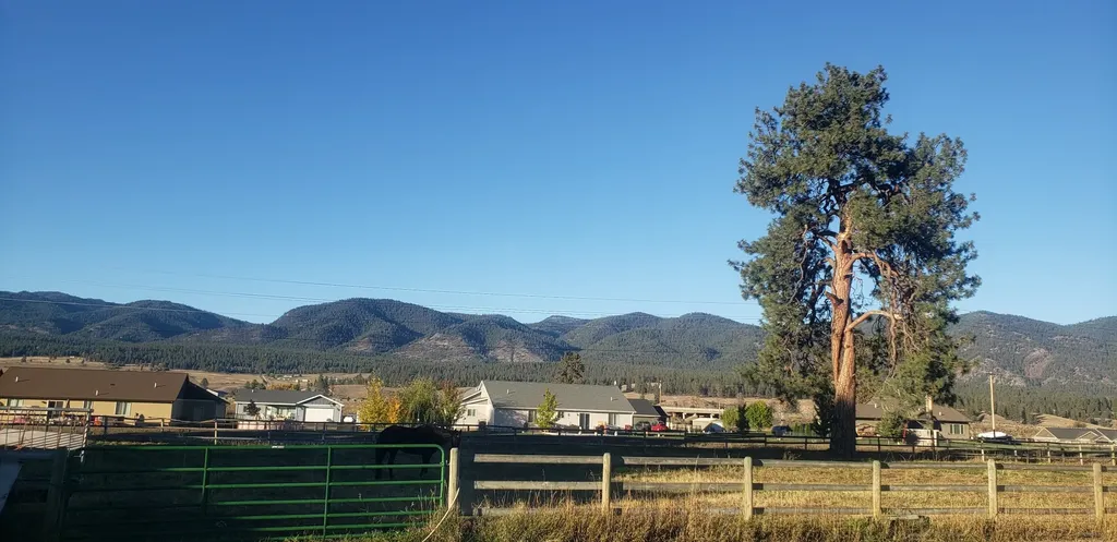 21225 Mullan Road Frenchtown MT 59834