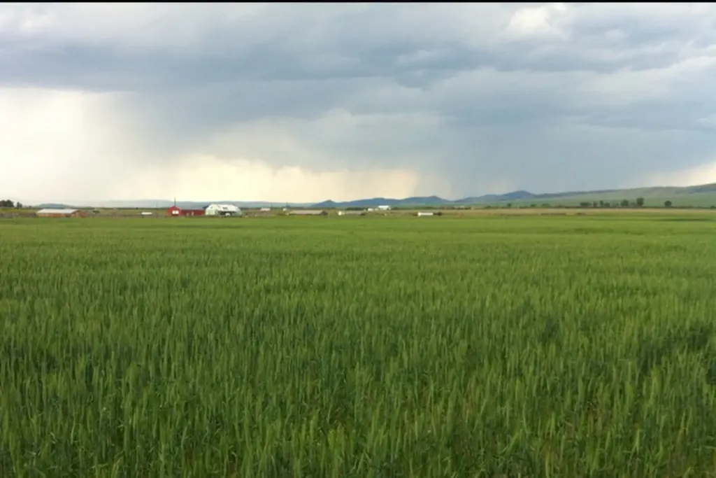 Nhn Luppold Road White Sulphur Springs MT 59645