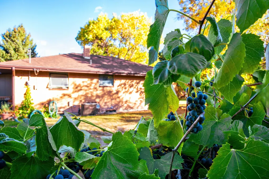 223 2nd Street S Cascade MT 59421