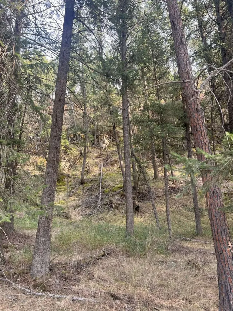 261 Windsong Way Kalispell MT 59901