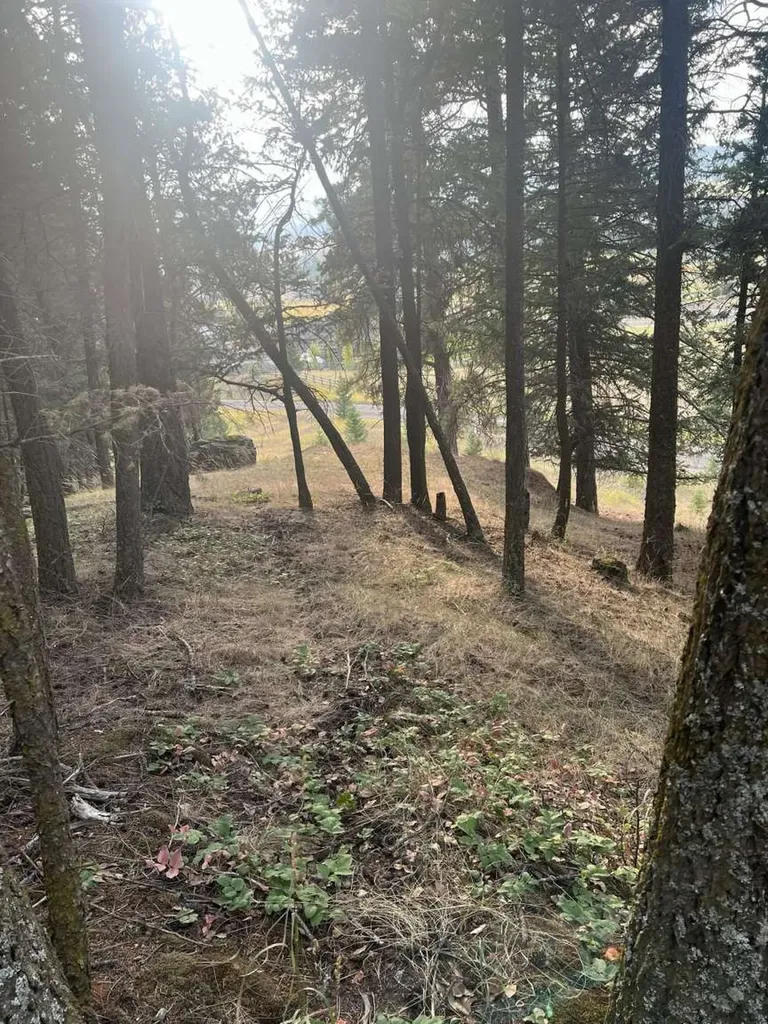 261 Windsong Way Kalispell MT 59901