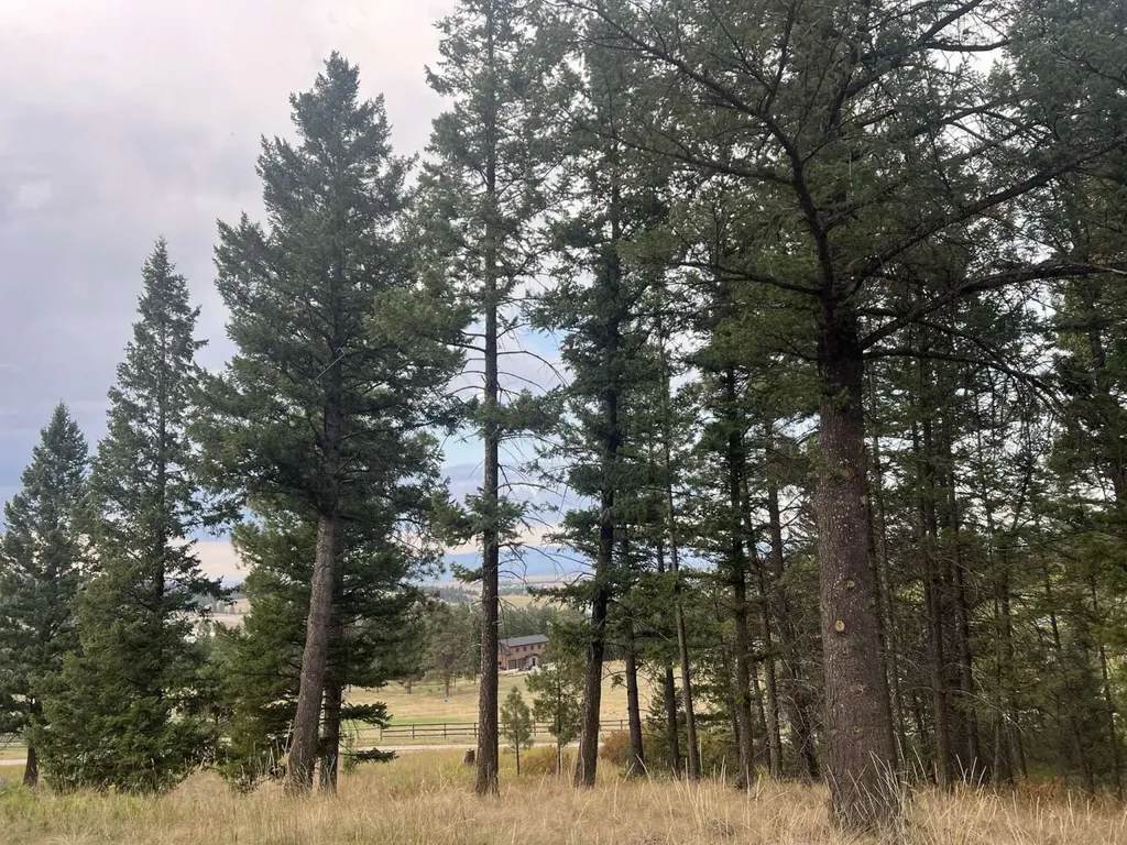 261 Windsong Way Kalispell MT 59901