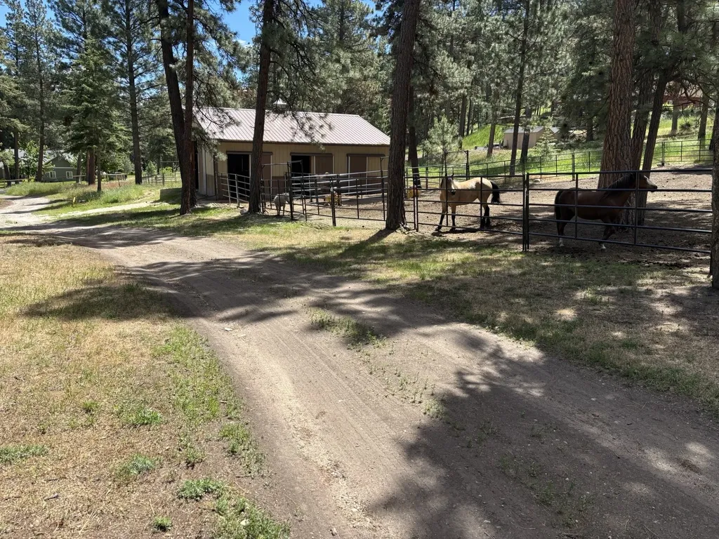 847 Sheafman Creek Road Hamilton MT 59840