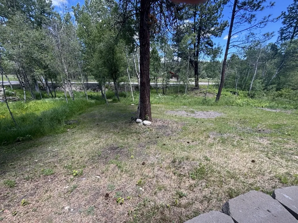 847 Sheafman Creek Road Hamilton MT 59840