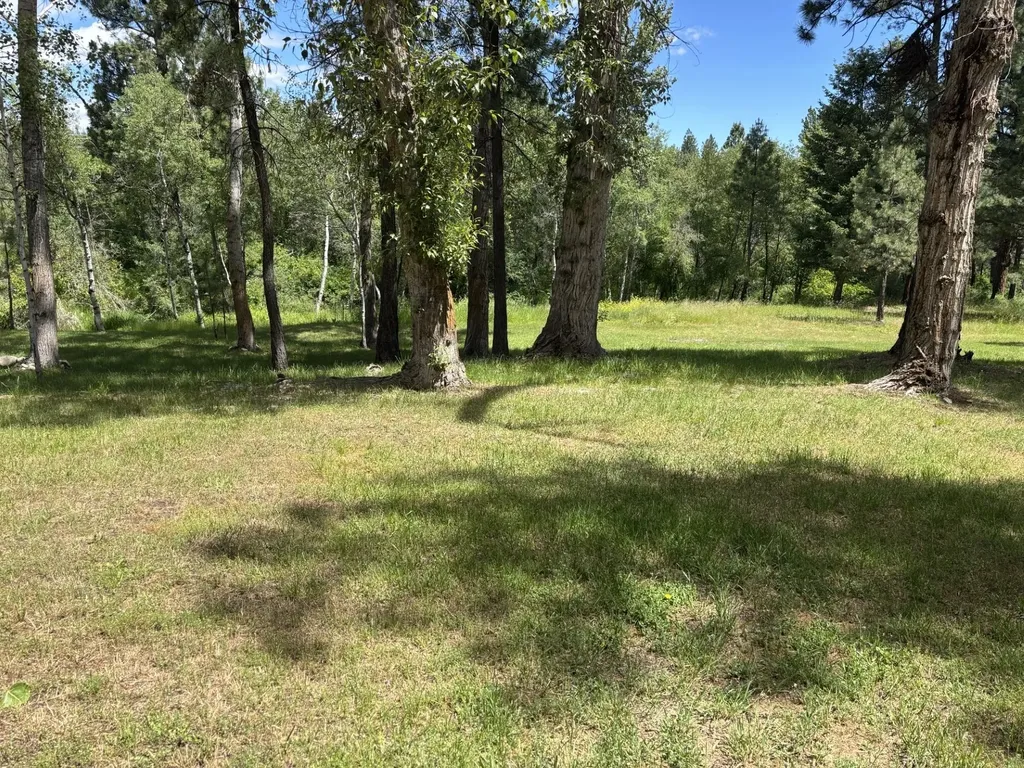 847 Sheafman Creek Road Hamilton MT 59840