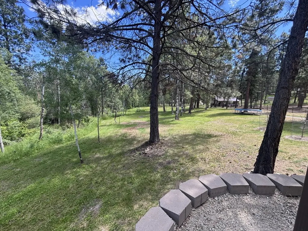 847 Sheafman Creek Road Hamilton MT 59840