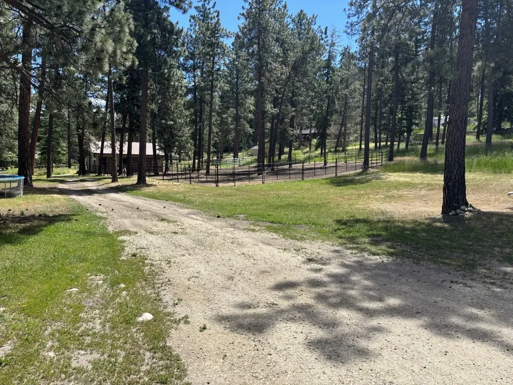 847 Sheafman Creek Road Hamilton MT 59840