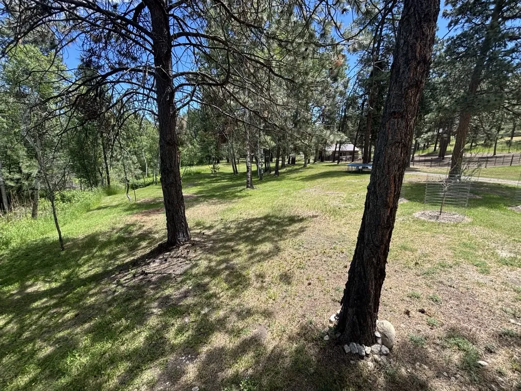 847 Sheafman Creek Road Hamilton MT 59840