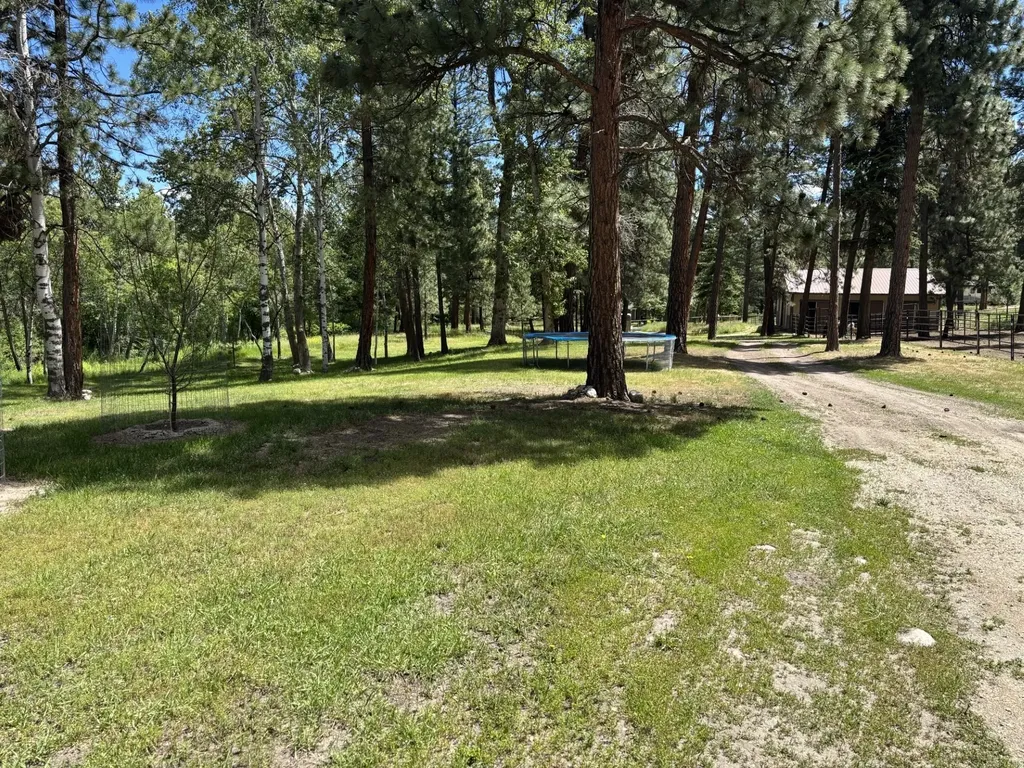 847 Sheafman Creek Road Hamilton MT 59840