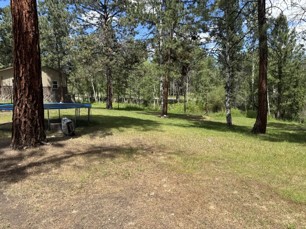 847 Sheafman Creek Road Hamilton MT 59840