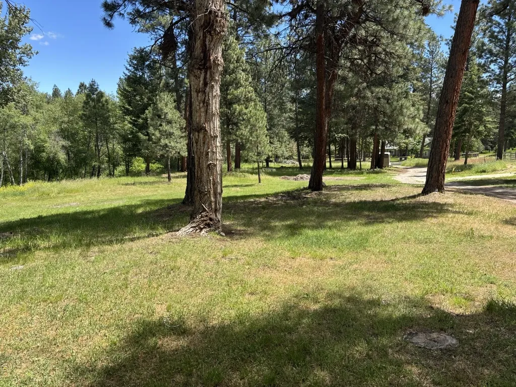 847 Sheafman Creek Road Hamilton MT 59840