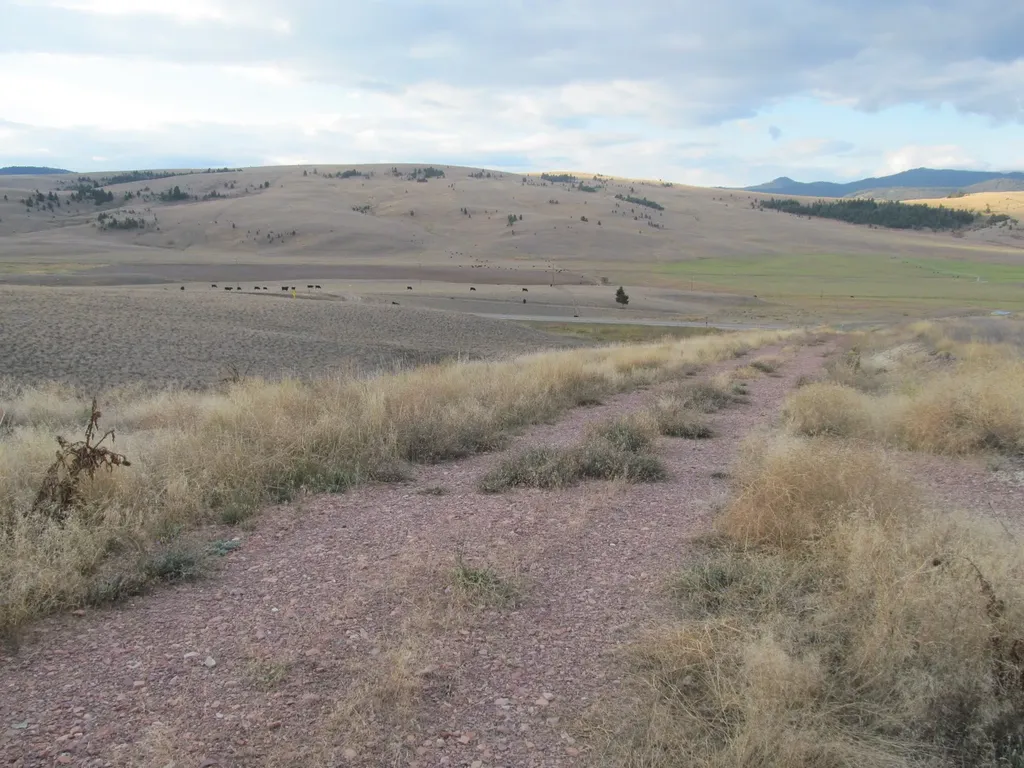1164 Marshall Creek Road Philipsburg MT 59858