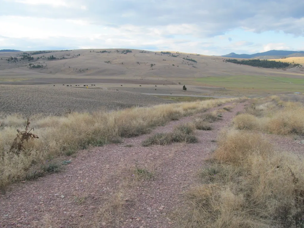 1164 Marshall Creek Road Philipsburg MT 59858