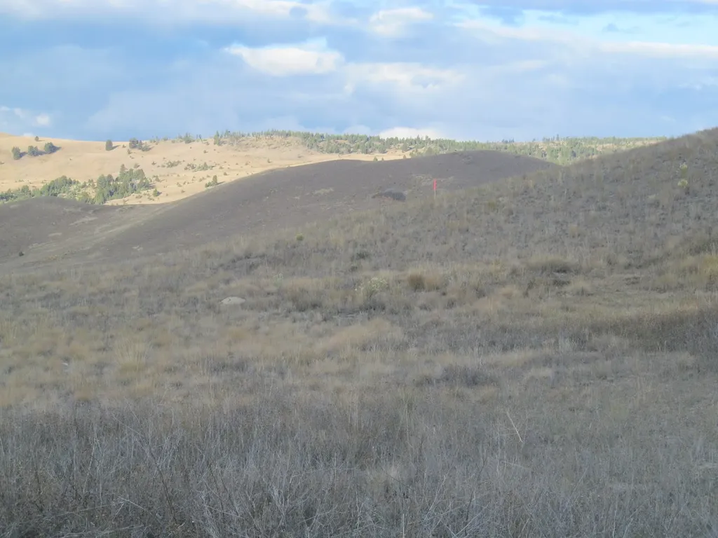 1164 Marshall Creek Road Philipsburg MT 59858