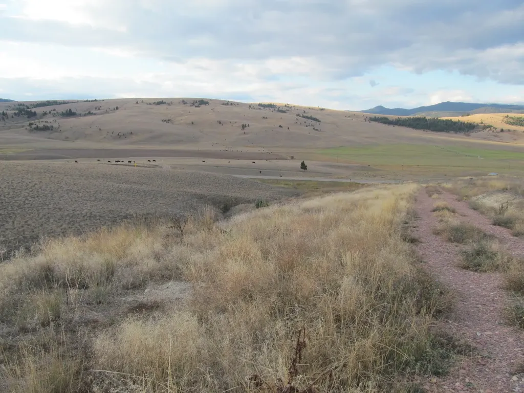 1164 Marshall Creek Road Philipsburg MT 59858
