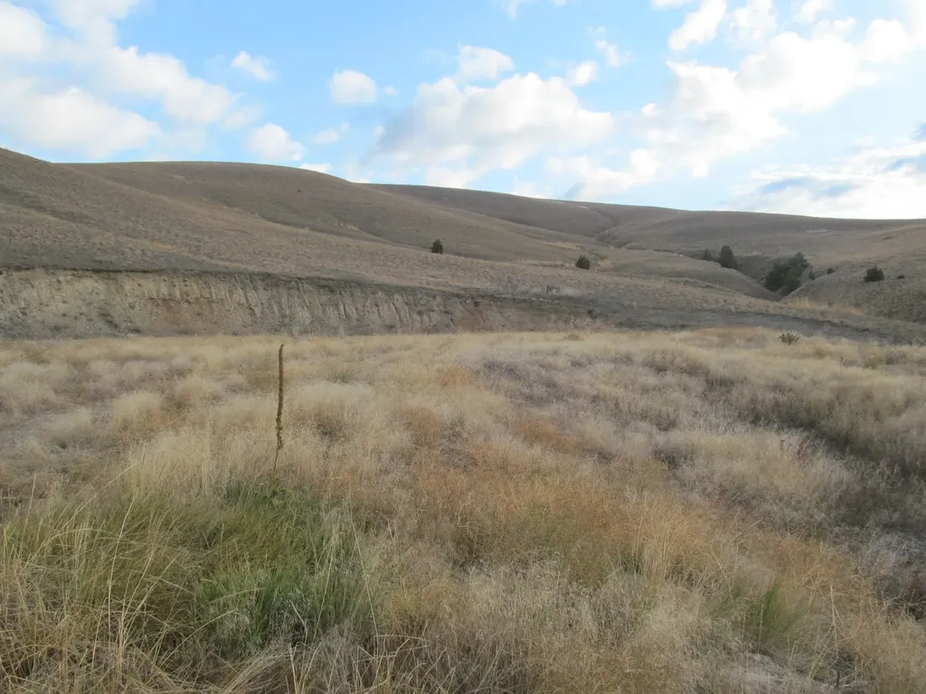 1164 Marshall Creek Road Philipsburg MT 59858
