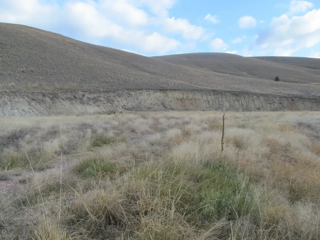 1164 Marshall Creek Road Philipsburg MT 59858