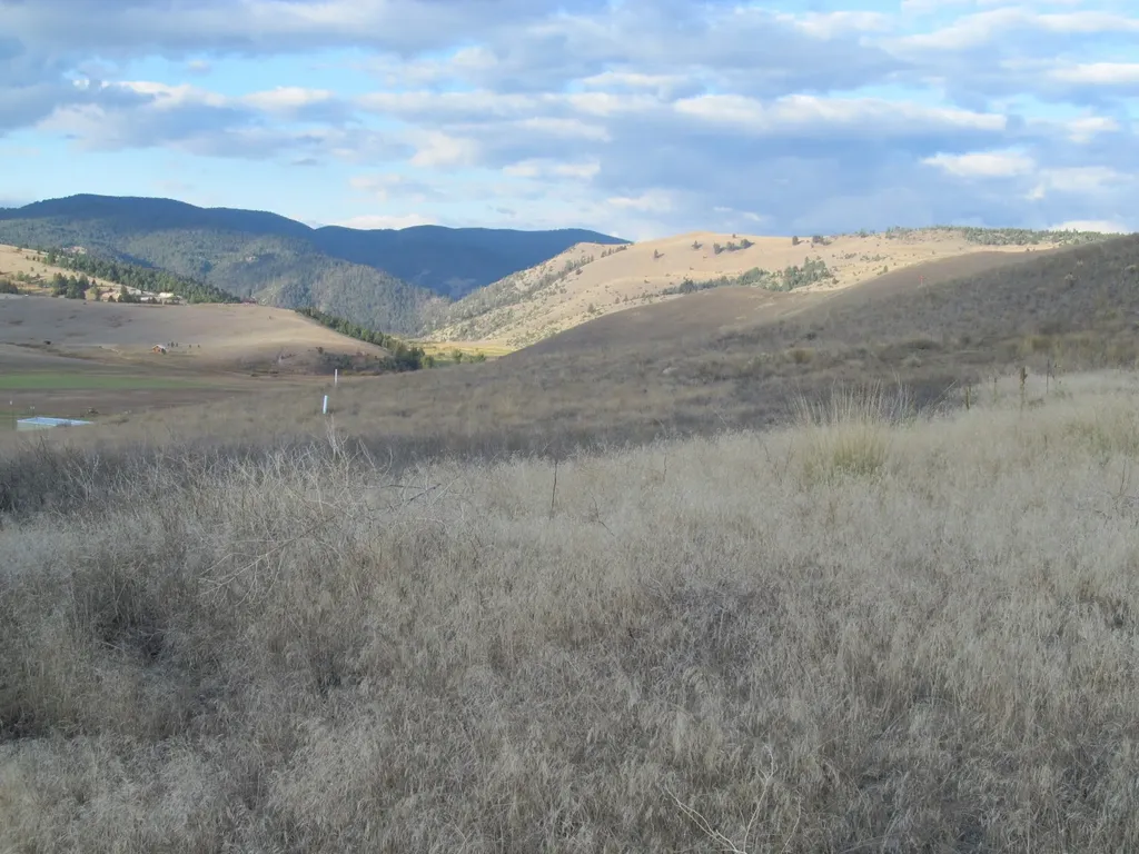 1164 Marshall Creek Road Philipsburg MT 59858