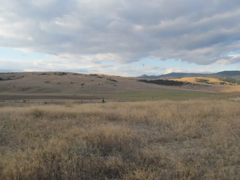 1164 Marshall Creek Road Philipsburg MT 59858