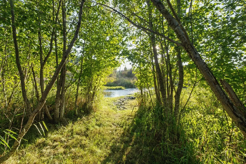 62564 Us Highway 2 Libby MT 59923