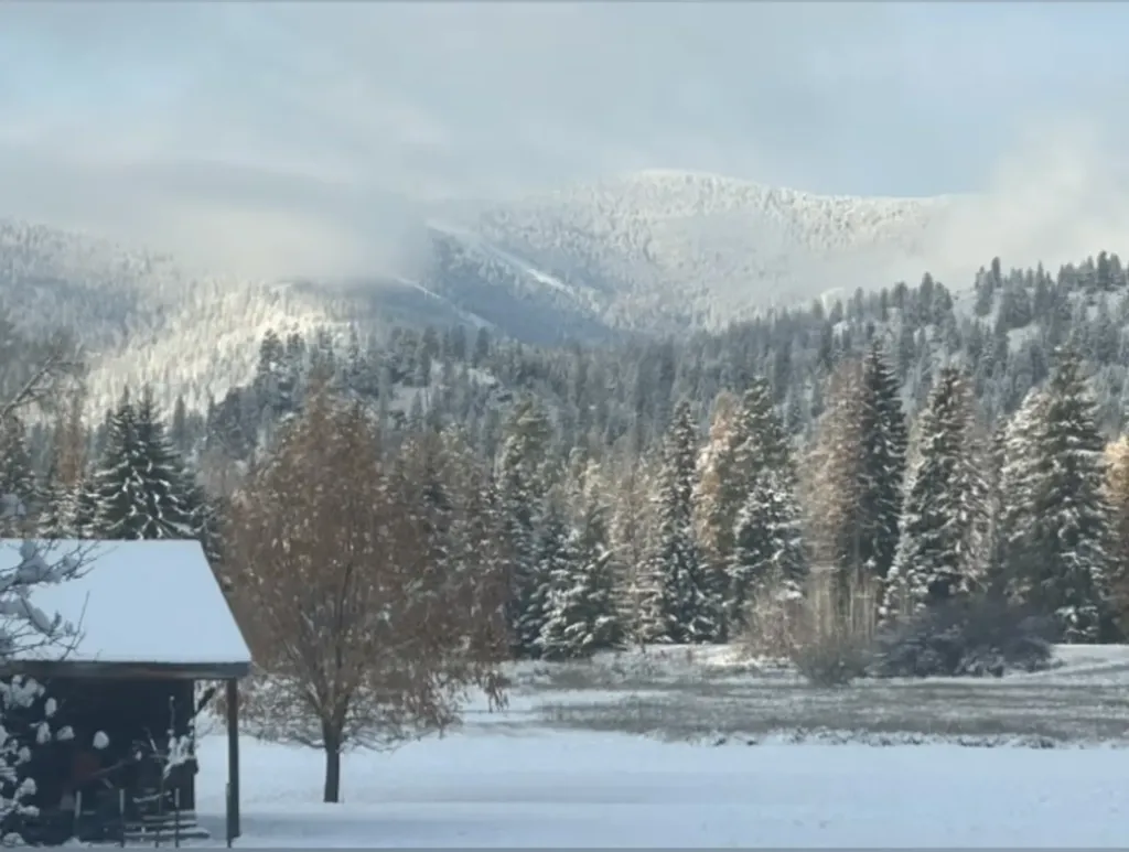 62564 Us Highway 2 Libby MT 59923
