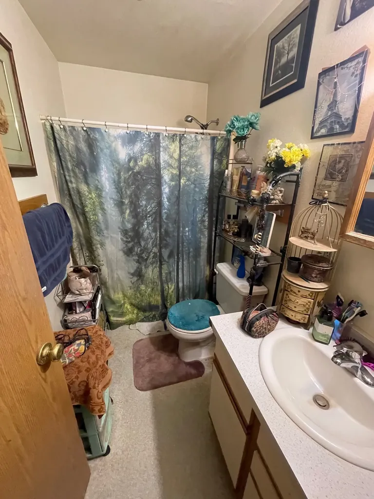 117 Tyler Way Lolo MT 59847