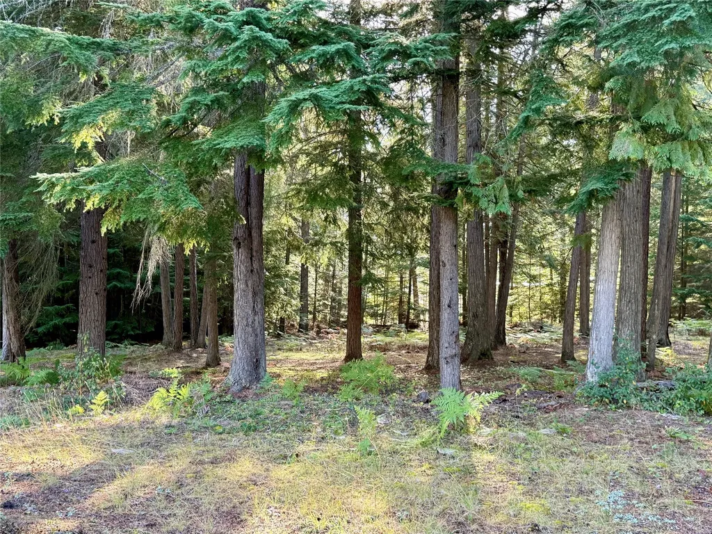 749 Halo Drive Troy MT 59935