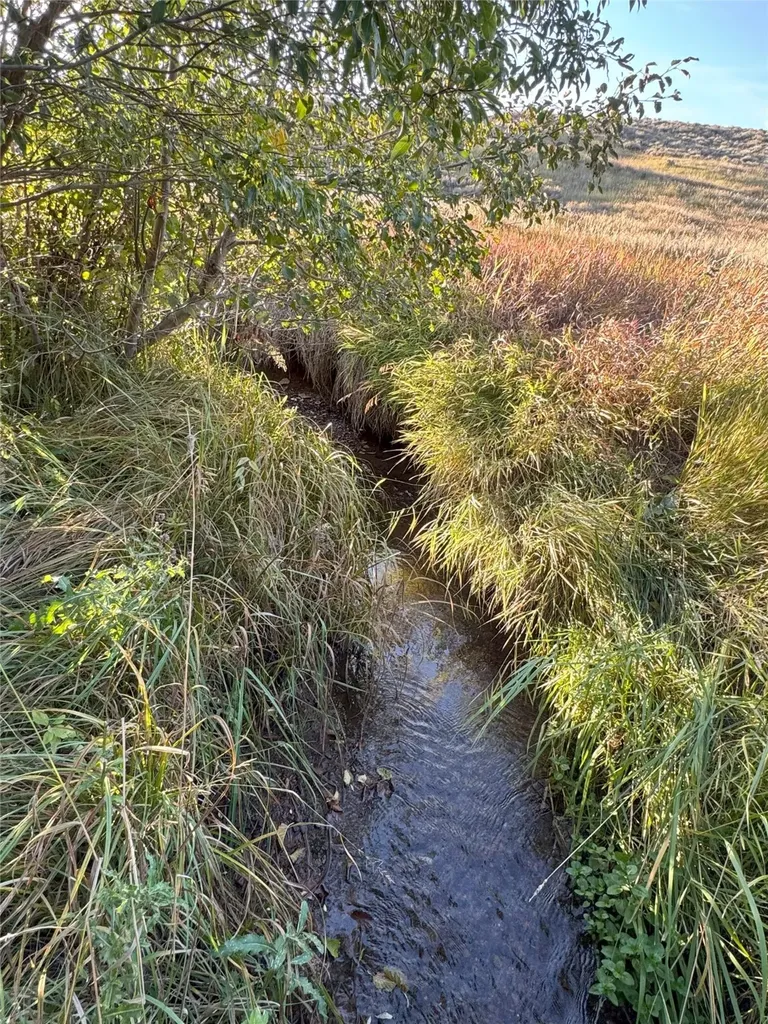 45 Mountainview Trail White Sulphur Springs MT 59645