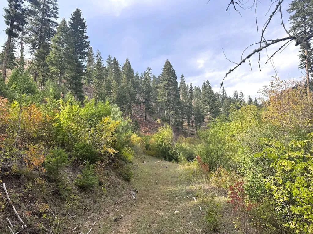 31022 Beavertail Road Clinton MT 59825