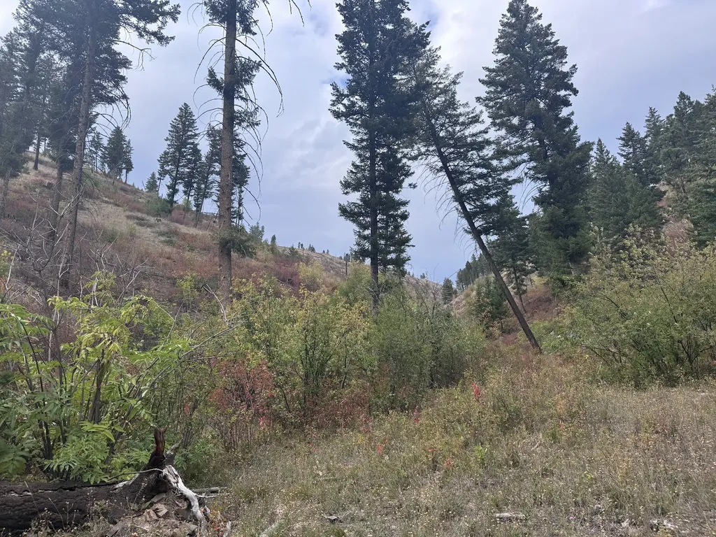 31022 Beavertail Road Clinton MT 59825