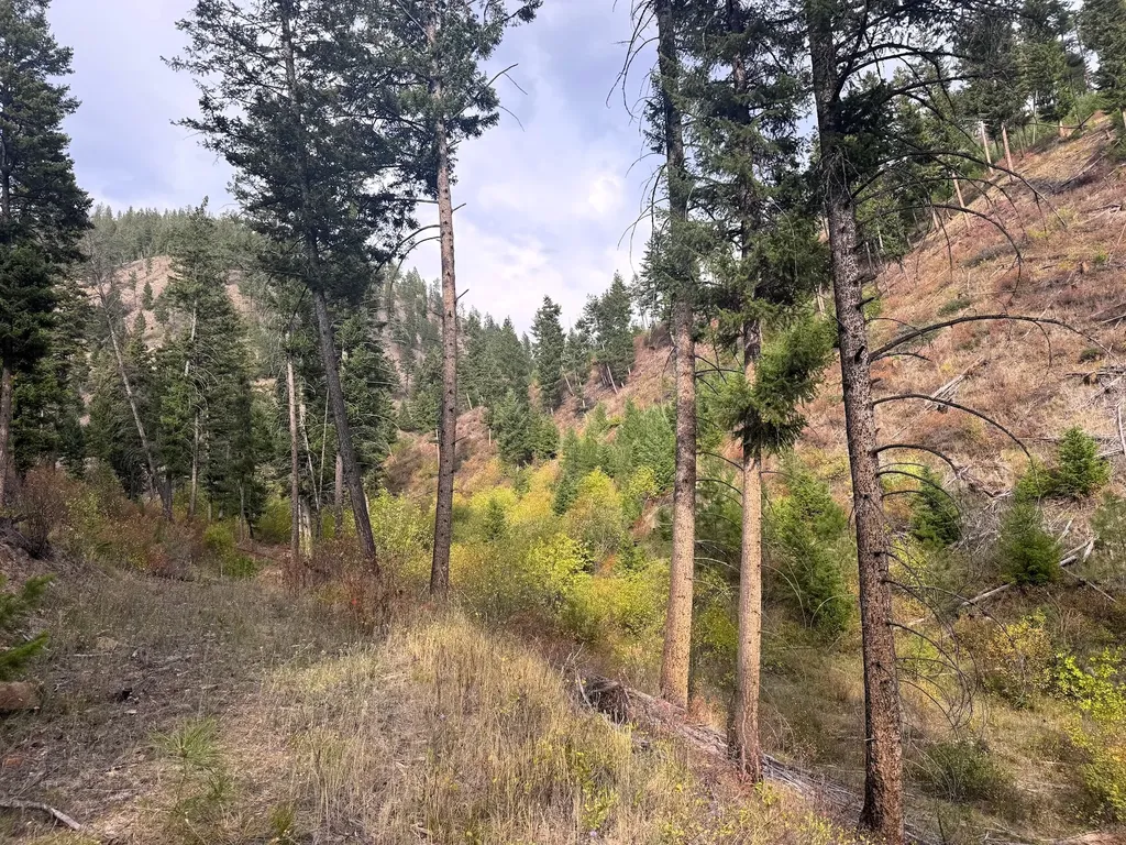 31022 Beavertail Road Clinton MT 59825