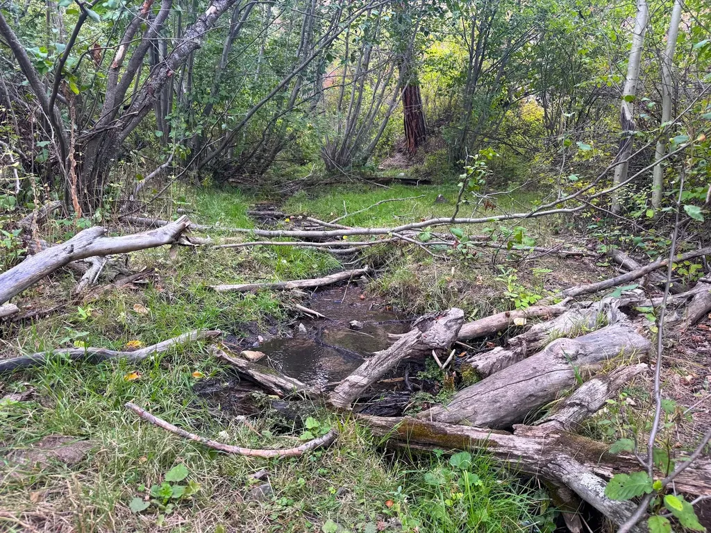 31022 Beavertail Road Clinton MT 59825