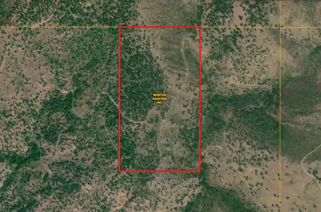 31022 Beavertail Road Clinton MT 59825