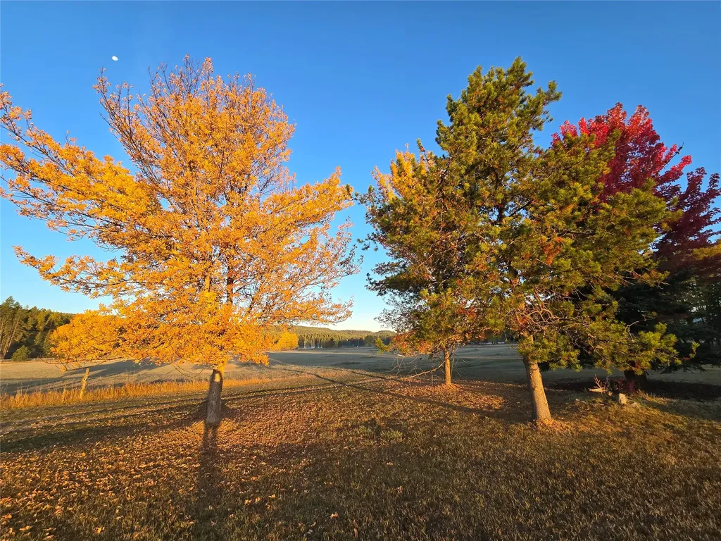7225 Farm To Market Road Whitefish MT 59937