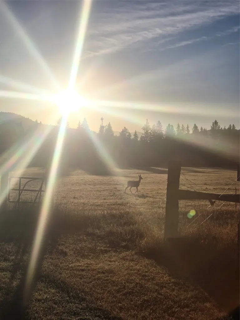 7225 Farm To Market Road Whitefish MT 59937