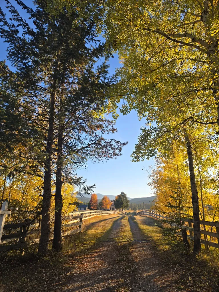 7225 Farm To Market Road Whitefish MT 59937