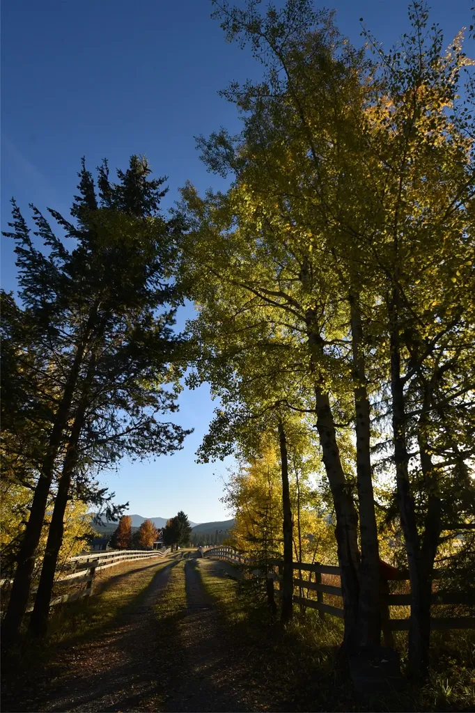 7225 Farm To Market Road Whitefish MT 59937