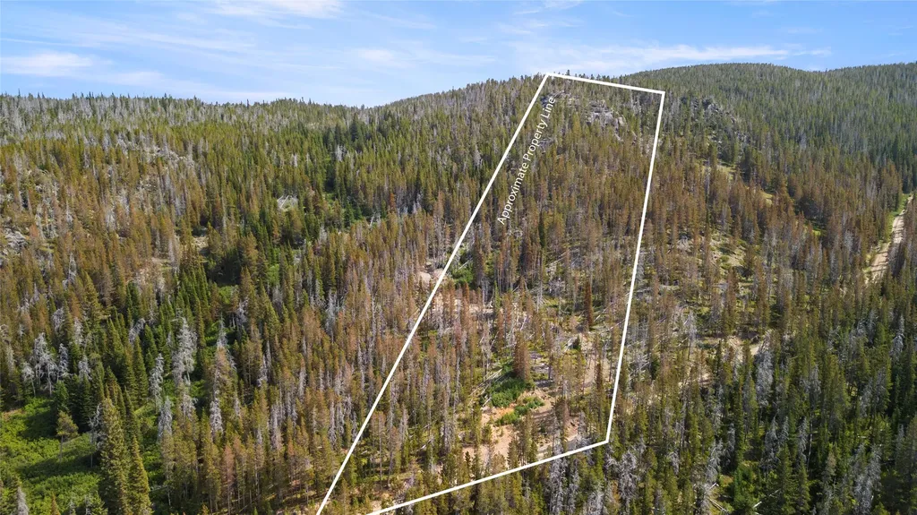 Nhn Peerless Jennie Crossroad Helena MT 59601