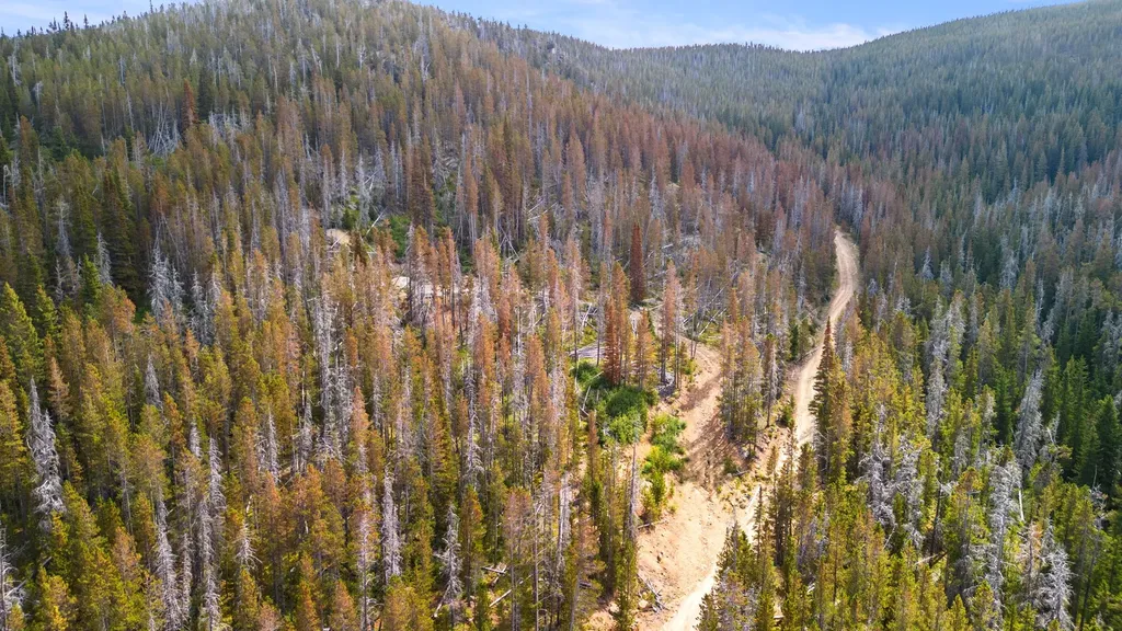 Nhn Peerless Jennie Crossroad Helena MT 59601