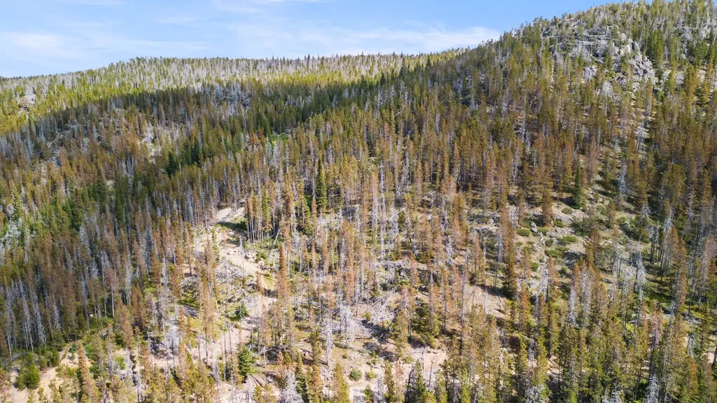Nhn Peerless Jennie Crossroad Helena MT 59601