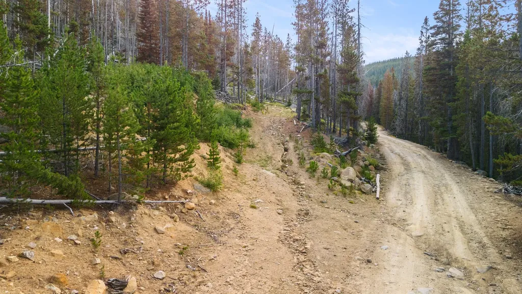 Nhn Peerless Jennie Crossroad Helena MT 59601