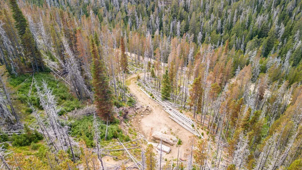 Nhn Peerless Jennie Crossroad Helena MT 59601