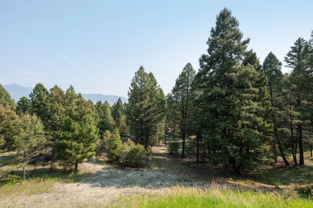 2171 Janney Road Butte MT 59701